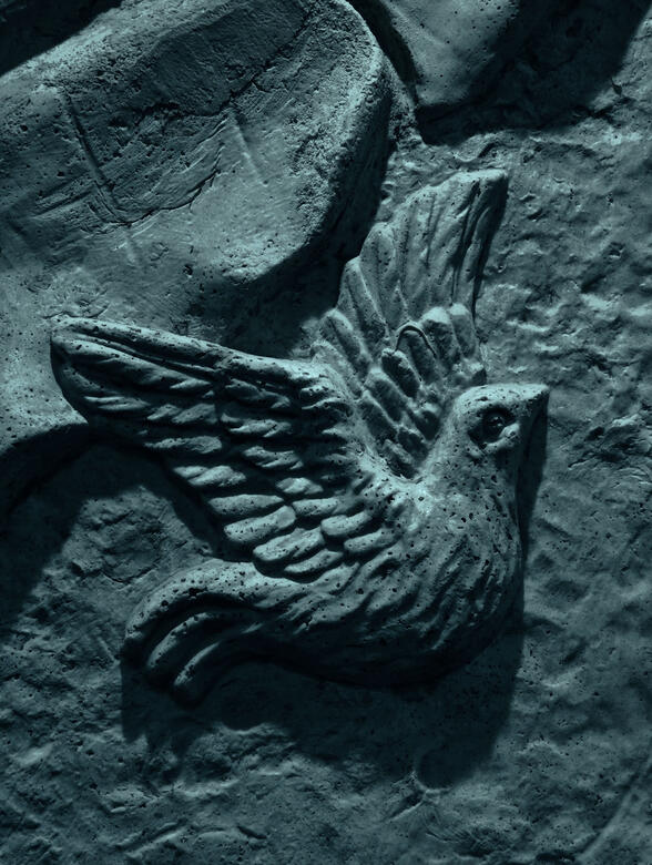 The Dove